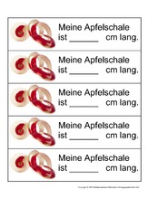Apfelschalen-messen.pdf